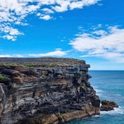 Sydney: Royal National Park Private Day Trip with Pickup