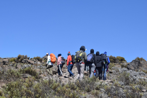 1 Day kilimanjaro short trek