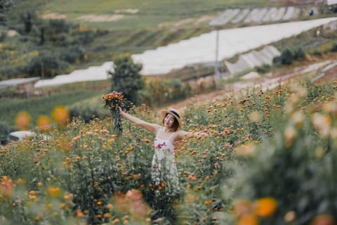 Chiang Mai: Flower Farm and Mountain Moo Kratha Experience