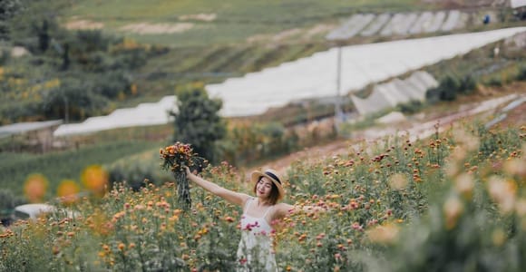 Chiang Mai: Flower Farm and Mountain Moo Kratha Experience