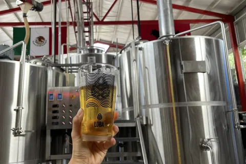 Visita a la arquitectura y cervecería de Guadalajara