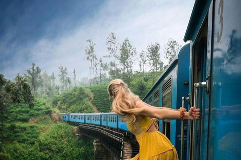 Kandy: Nuwara Eliya, Ambewela Drop Tour & Ella Train journey Kandy: Nuwara Eliya, Ambewela Drop Tour by car or van