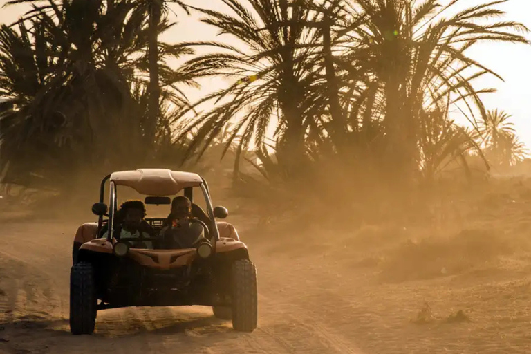 Djerba: Buggy Adventure among Beaches, Lagoon, and Wild Trails Djerba: Buggy Adventure between Beaches, Lagoon and Wild Trails