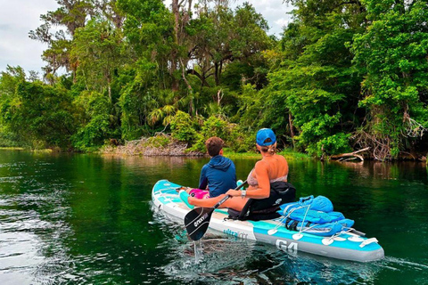 Orlando: Lake Conway Paddle Board or Kayak Tour
