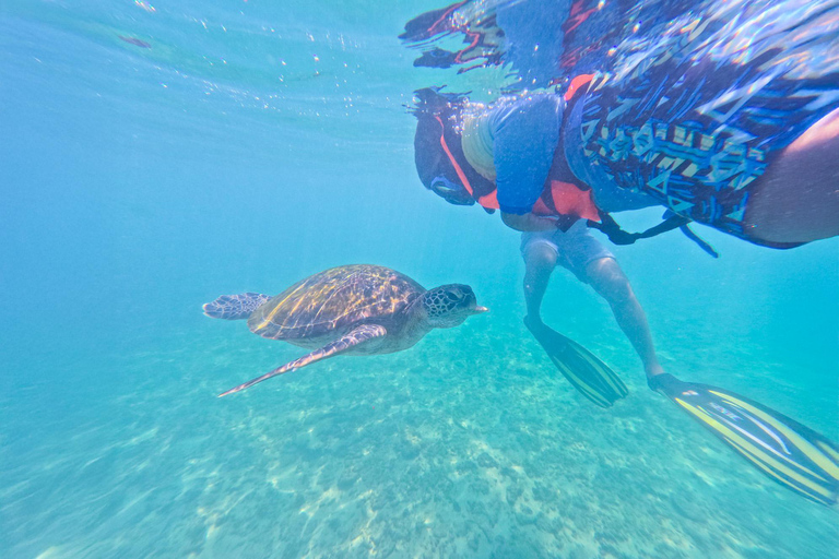 Mirissa: Sea Turtle Snorkeling Tour, GoPro & 100% Guarantee