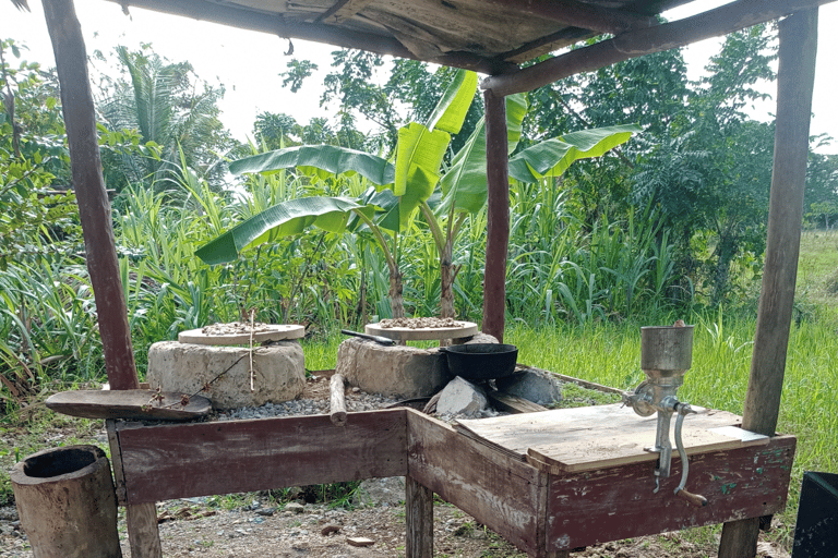 Higuey discovery, coffee and cocoa tasting from punta cana