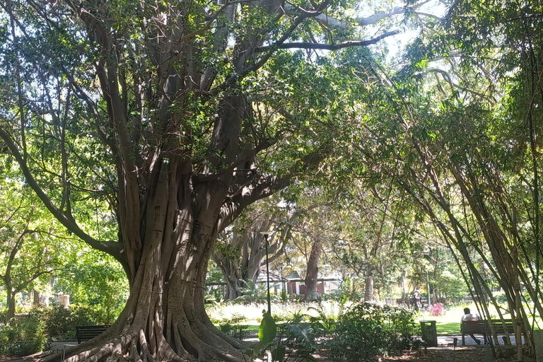 Cape Town: Apartheid History and City Walking Tour