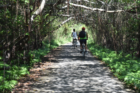 Cat Ba: Lan Ha Bay boutique cruises- Paseo en bici, kayak, comidas