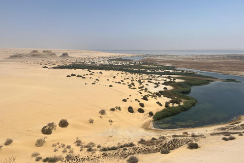 From Cairo: 4x4 Desert Safari, Waterfalls & Magic Lake Shared Tour: Wadi El Rayan, Magic Lake & Lake Qarun, Jeep