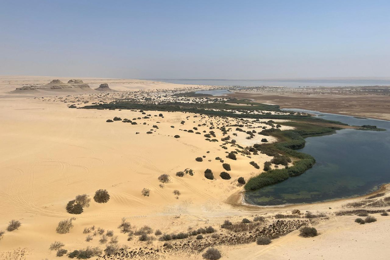 From Cairo: 4x4 Desert Safari, Waterfalls & Magic Lake Shared Tour: Wadi El Rayan, Magic Lake & Lake Qarun, Jeep