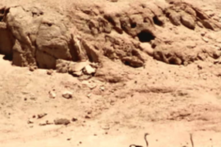 Swakopmund: Treasures of the Moonlandscape