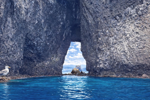 Sapporo: Otaru, Cape Kamui, and Blue Cave Summer Special 8;00 am meet at Odori Park subway station exit 31