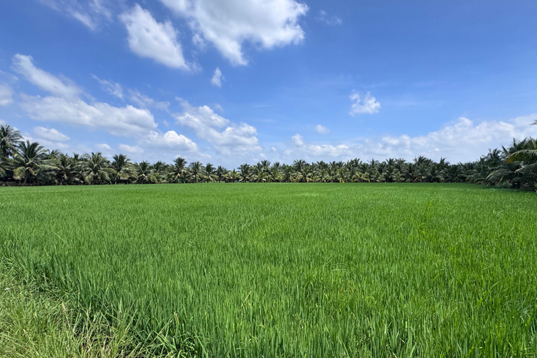 From HCMC-Mekong Delta Eco Tour: Non-Touristy & Small Group Pickup & Drop-off in District 1