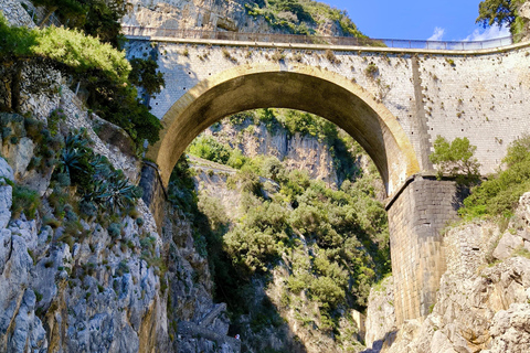 Positano and Amalfi Coast: Half-Day Snorkeling Small Group Tour