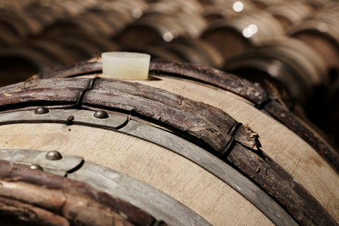 From Madrid to Castilla & León: Hidden Vineyards and Towns