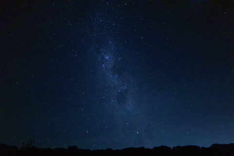 Auckland: Stargazing, Meteor Showers and Cosmic Events Tour