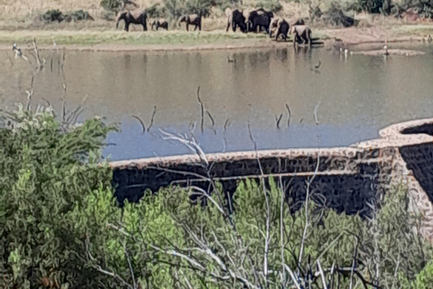 Johannesburg: Pilanesberg nationalpark 2-dagars privat safari