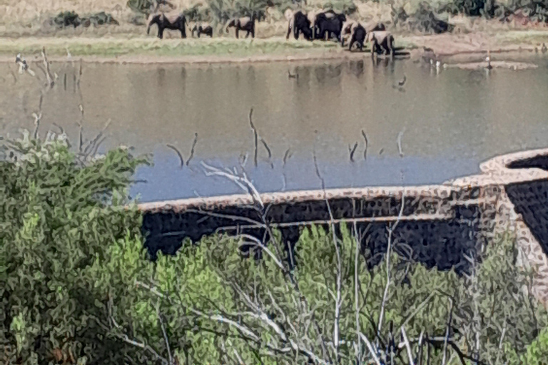 Johannesburg : Safari privé de 2 jours dans le parc national de Pilanesberg