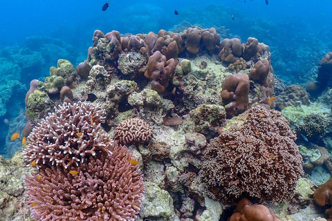 Desde Phuket Excursión de snorkel a las Islas Surin