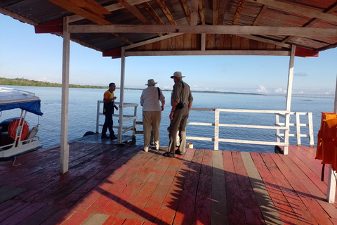 Private Tour of the Rio Negro/Natural Beauties of the Amazon