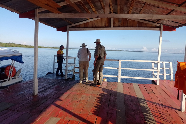 Private Tour of the Rio Negro/Natural Beauties of the Amazon