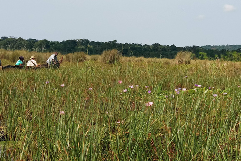 From Kampala: Mabamba Swamp Birding Half-Day Tour From Kampala: Mabamba Swamp Birding Day Tour