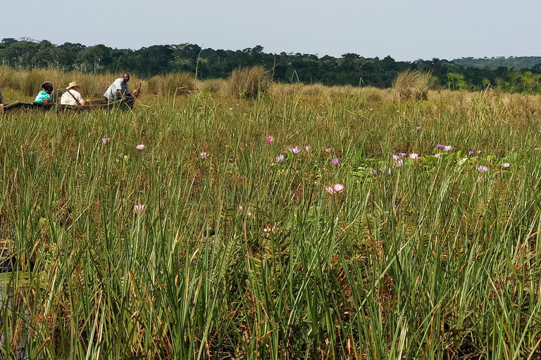From Kampala: Mabamba Swamp Birding Half-Day Tour From Kampala: Mabamba Swamp Birding Day Tour