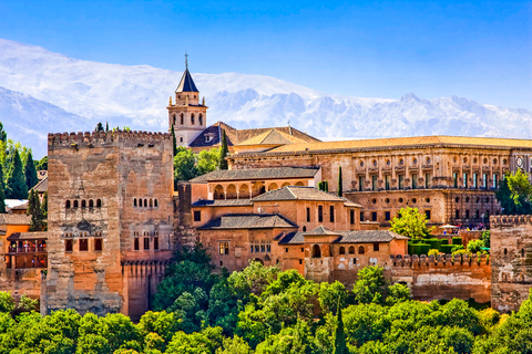 Granada: Alhambra & Nasrid Palaces Tour with Tickets Tour in French for 20 People