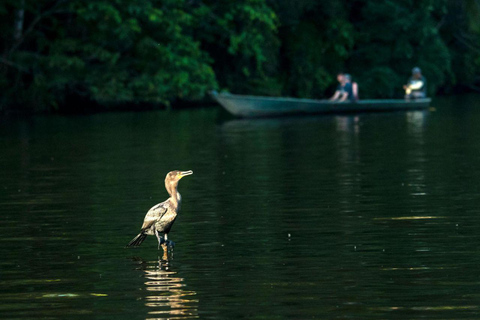 Puerto Maldonado: 2-Day Lake Sandoval Nature Tour