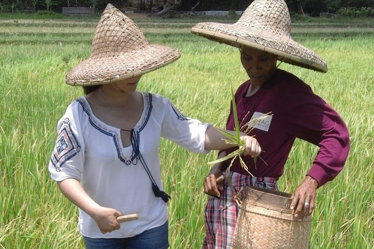 بوراكاي: جولة إرشادية في متحف موتاغ ليفينج
