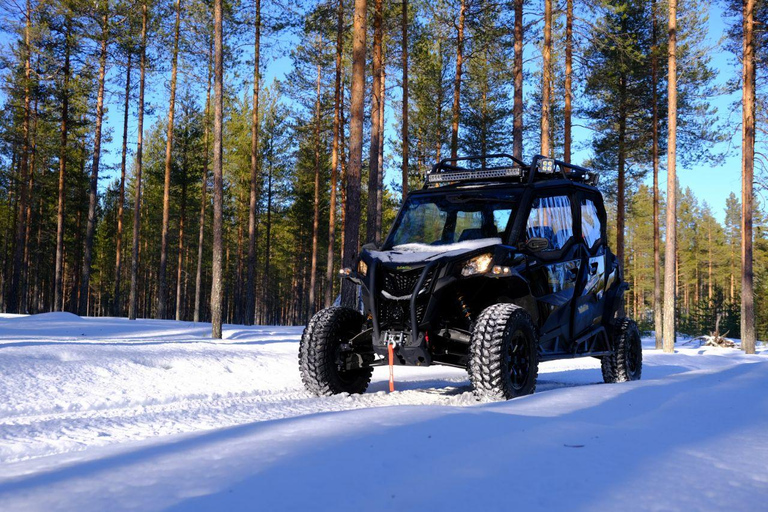 Helsinki: Buggy Ride, Reindeer Farm Visit, and Picnic