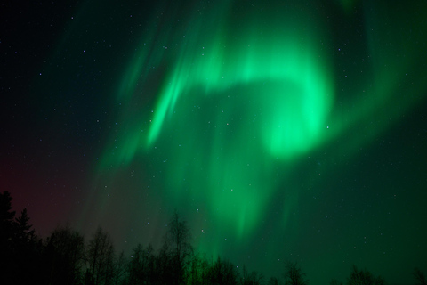 Levi: Aurora Hunting in Heated Sleigh Levi: Aurora Hunting, Sleigh ride