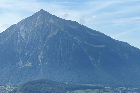 シュピーツ：スイス人アスリートと一緒にニーゼン山頂へ - 2026件