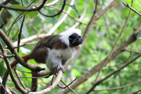 Tayrona National park hike experience
