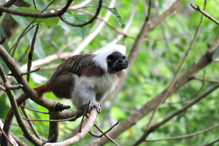 Tayrona National park hike experience