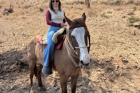 From Santiago: Papudo Lobos Island Boat & Horseback Ride