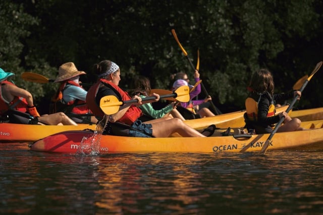 Parque Estatal del Río Oleta: Excursión en Eco Kayak o Paddleboard