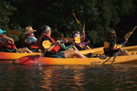 Oleta River State Park: Eco Kayak eller Paddleboard Tour