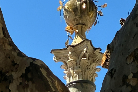 Aix-en-Provence: Guided Walking Tour with a Local