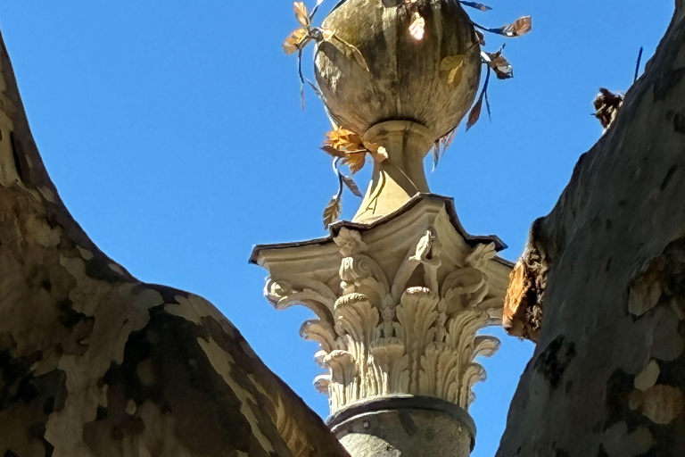 Aix-en-Provence: Guided Walking Tour with a Local