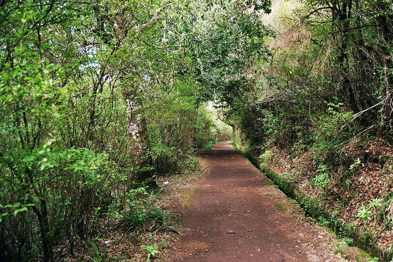 Madeira: Levada Paradise Valley Scenic Walk Pickup Machico, Santa Cruz