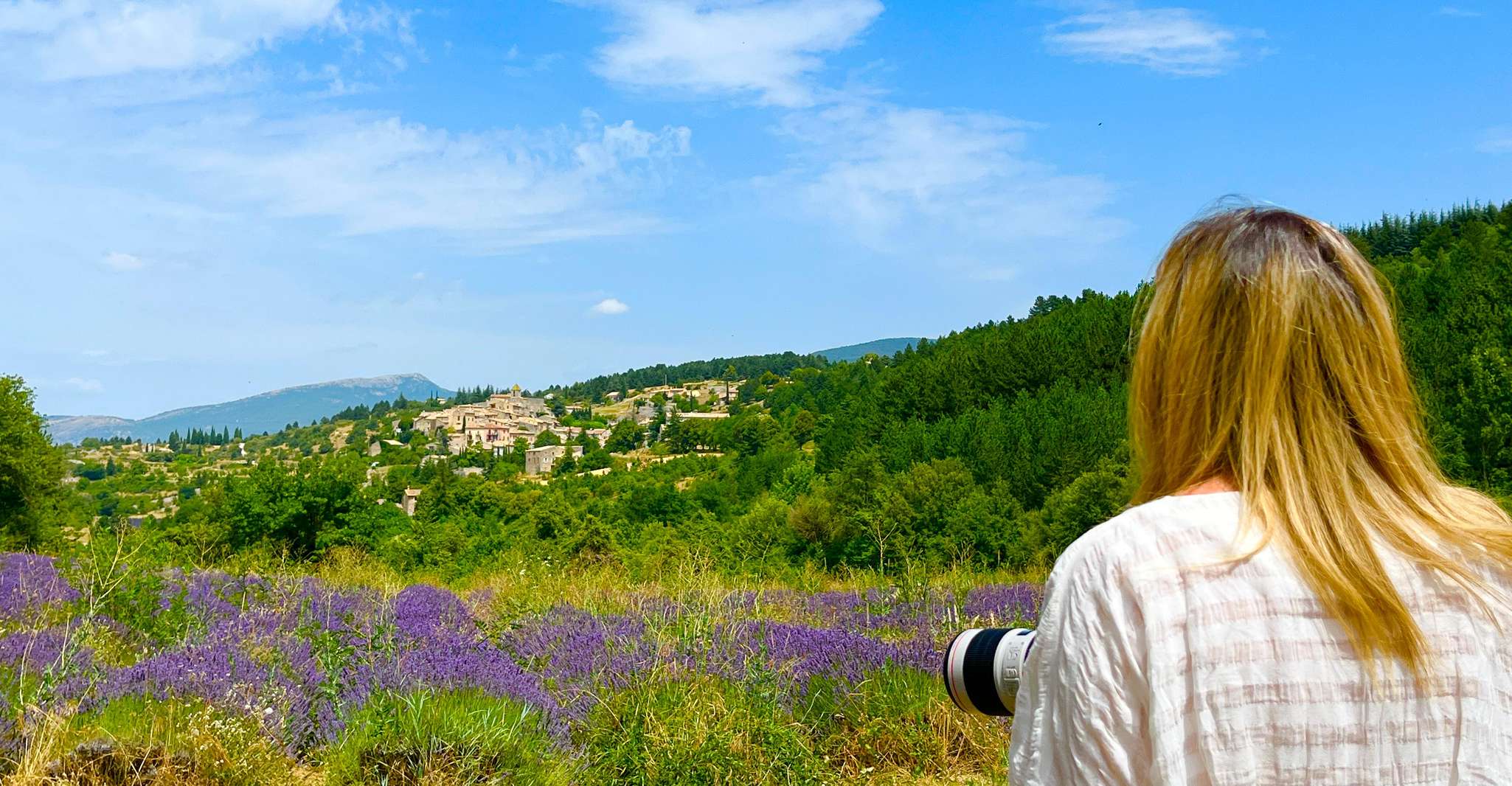 From Avignon, Lavender Tour in Valensole, Sault and Luberon - Housity