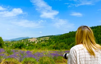 From Avignon, Lavender Tour in Valensole, Sault and Luberon - Housity