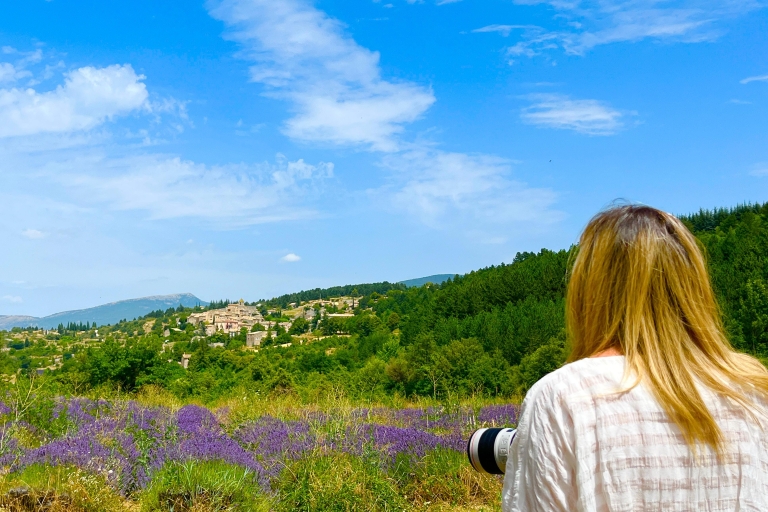 Vanuit Avignon: Lavendel Tour in Valensole, Sault en LuberonVanuit Avignon: dagexcursie in Valensole, Luberon en Sault