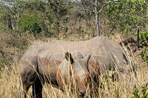 From Kampala: 2-Day Murchison Falls National Park Vacation