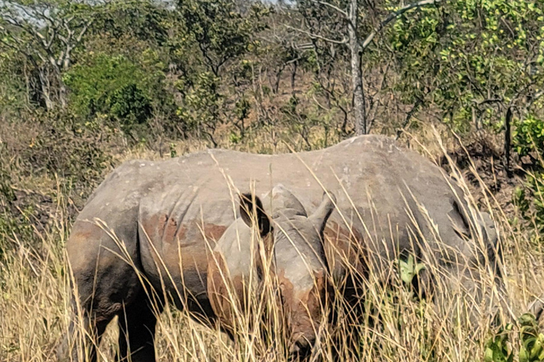 From Kampala: 2-Day Murchison Falls National Park Vacation