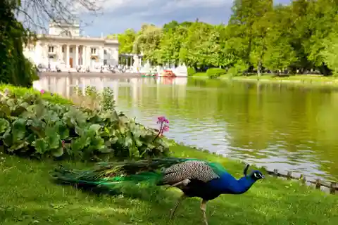 Best of Warsaw Full-Day Private Tour with Private Transport