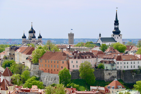 Tallinn: Secrets of Toompea — A Private Medieval Tour The Keeper's Chronicle