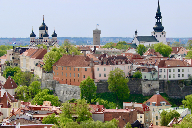 Tallinn: Secrets of Toompea — A Private Medieval Tour The Keeper's Chronicle
