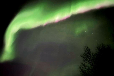 Zorza polarna prywatna wycieczka Rovaniemi